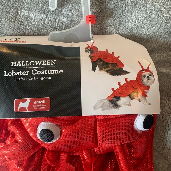 Size Small Pet Halloween Costume Red Lobster Dog Cat Celebrate New - Picture 2 of 4